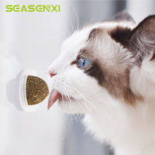 Load image into Gallery viewer, Natural Catnip Toys For Cats Crazy Healthy Cat Toys For Kitten Edible Treating Cleaning Teeth Cat Supplies Pet Toy Pet Products